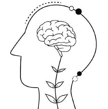 brain icon