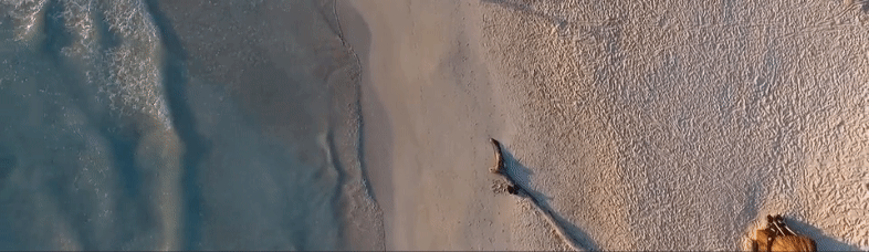 video of person running along the beach